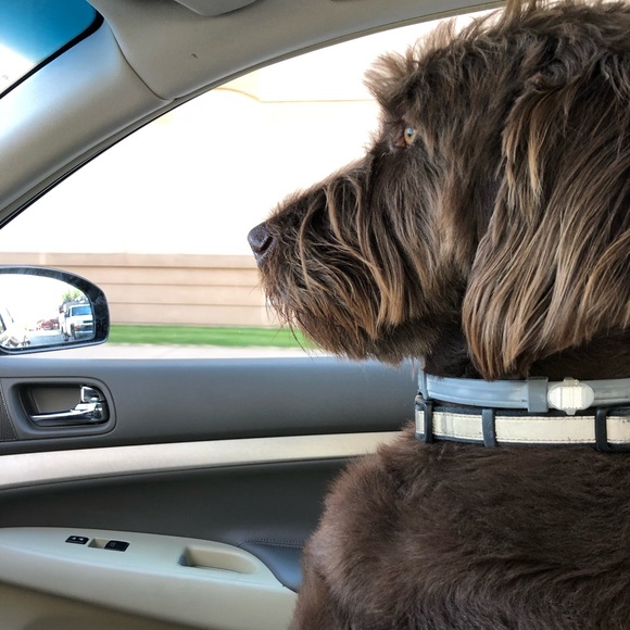 Meet your Posher, Jill - Picture 1 of 1